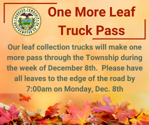 Last Leaf Collection of the Season!