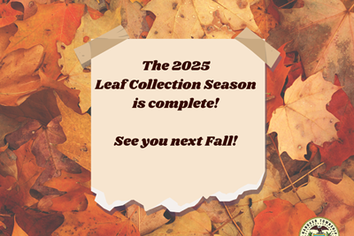 Leaf Collection