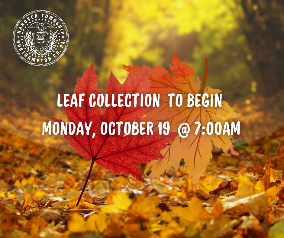 Leaf Collection 2026!