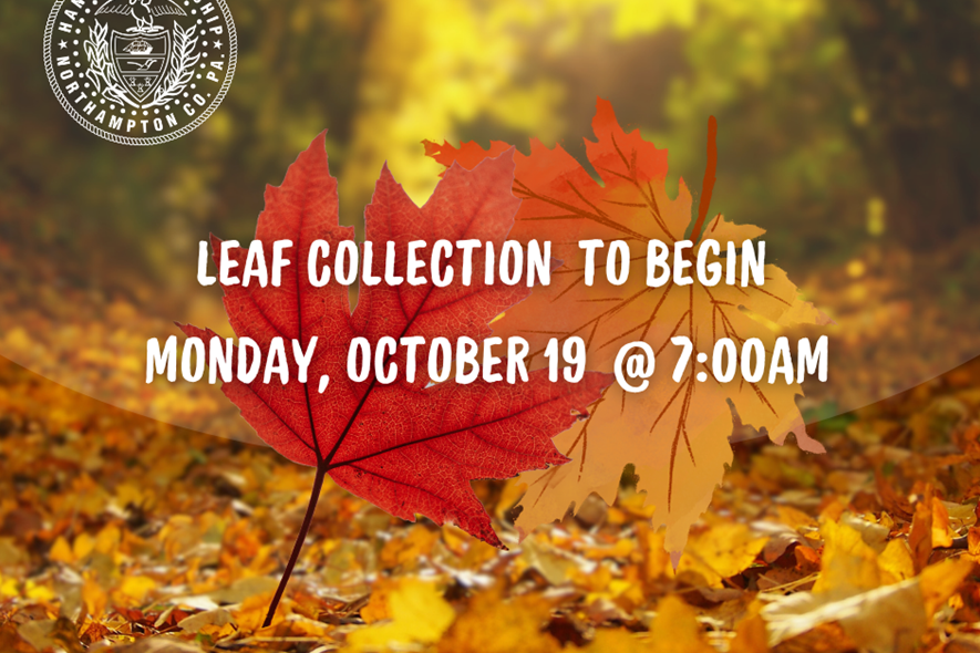 Leaf Collection 2026!